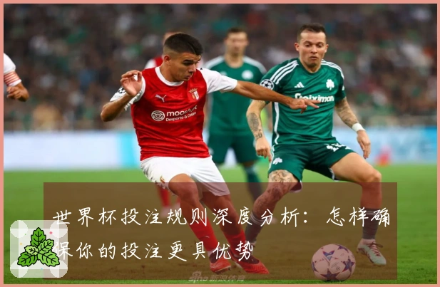 世界杯投注规则深度分析：怎样确保你的投注更具优势