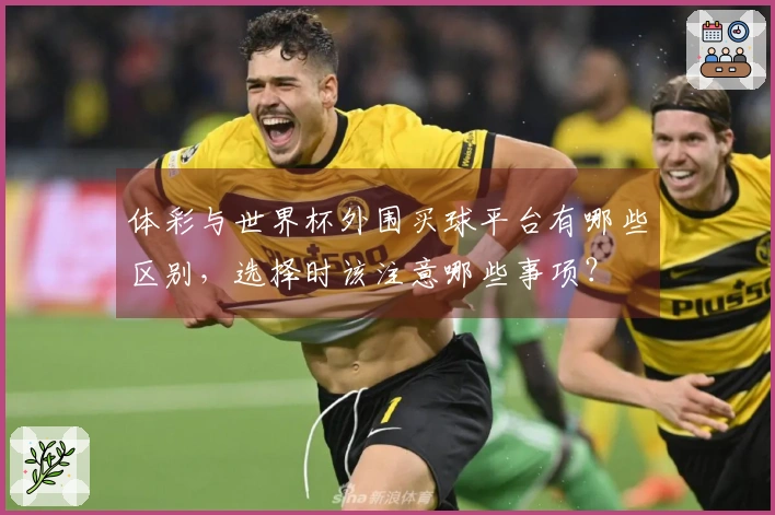 体彩与世界杯外围买球平台有哪些区别，选择时该注意哪些事项？