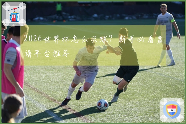 2026世界杯怎么买球？新手必看靠谱平台推荐