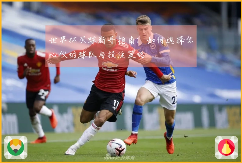 世界杯买球新手指南：如何选择你心仪的球队与投注策略