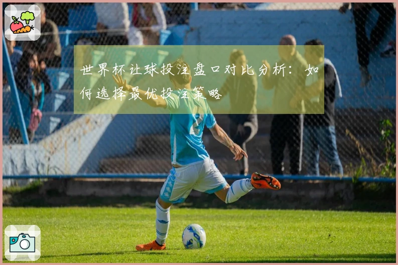 世界杯让球投注盘口对比分析：如何选择最优投注策略