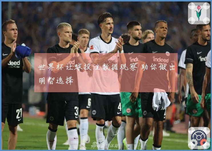世界杯让球投注数据观察 助你做出明智选择