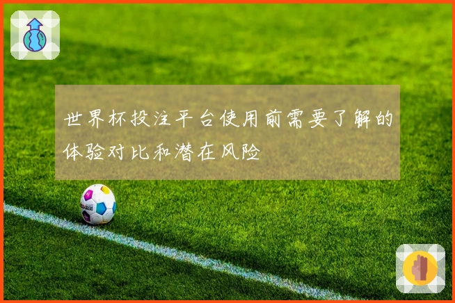 世界杯投注平台使用前需要了解的体验对比和潜在风险