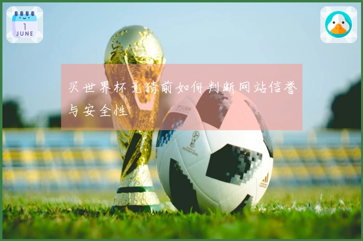 买世界杯竞猜前如何判断网站信誉与安全性