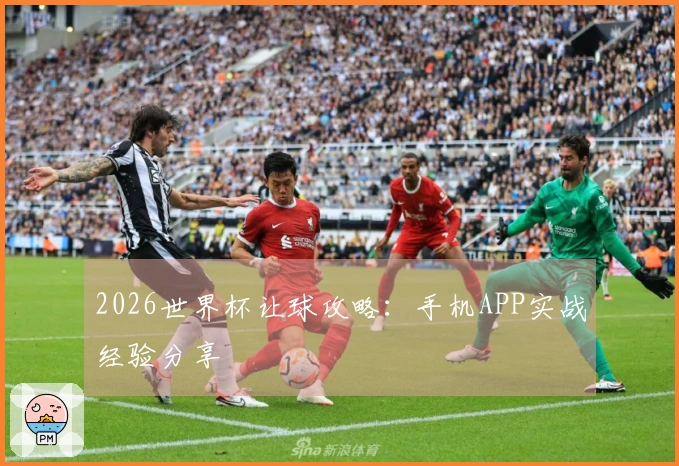 2026世界杯让球攻略：手机APP实战经验分享