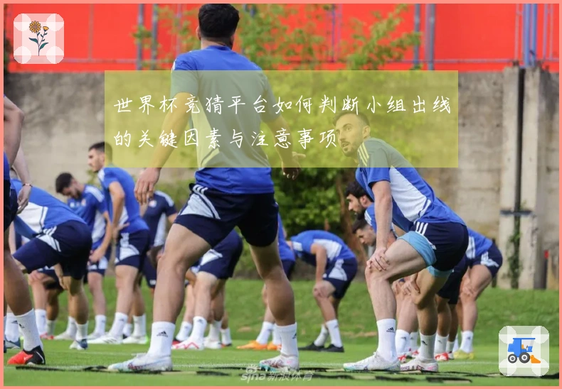 世界杯竞猜平台如何判断小组出线的关键因素与注意事项