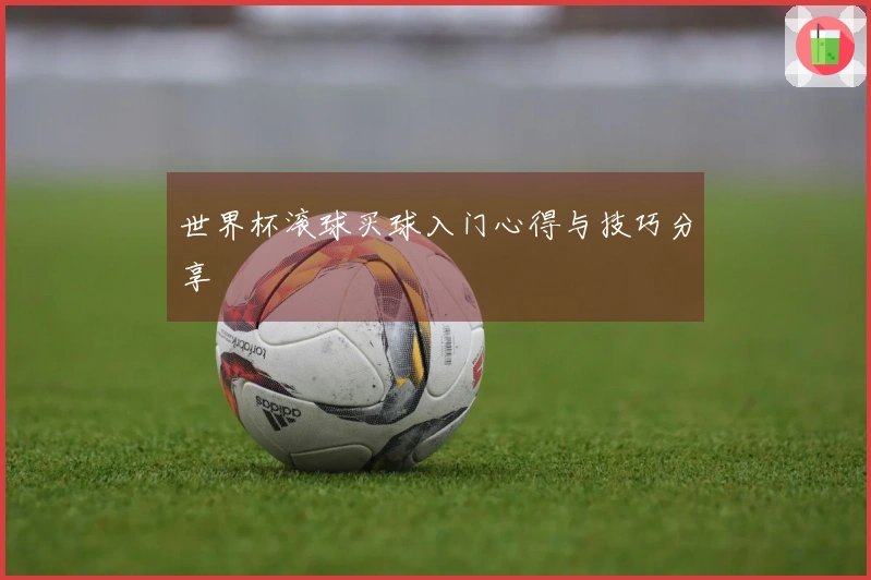 世界杯滚球买球入门心得与技巧分享