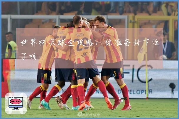 世界杯买球全攻略，你准备好下注了吗