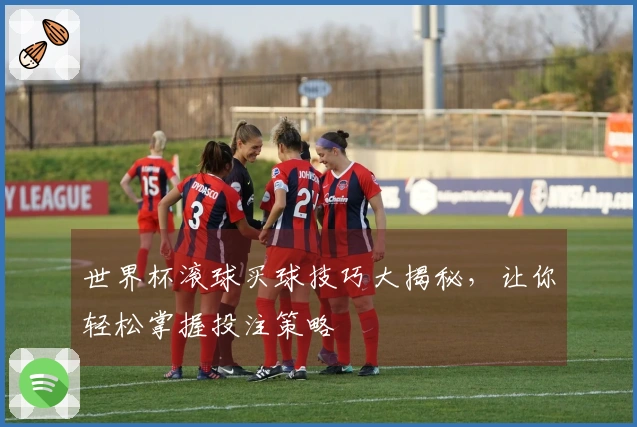 世界杯滚球买球技巧大揭秘，让你轻松掌握投注策略