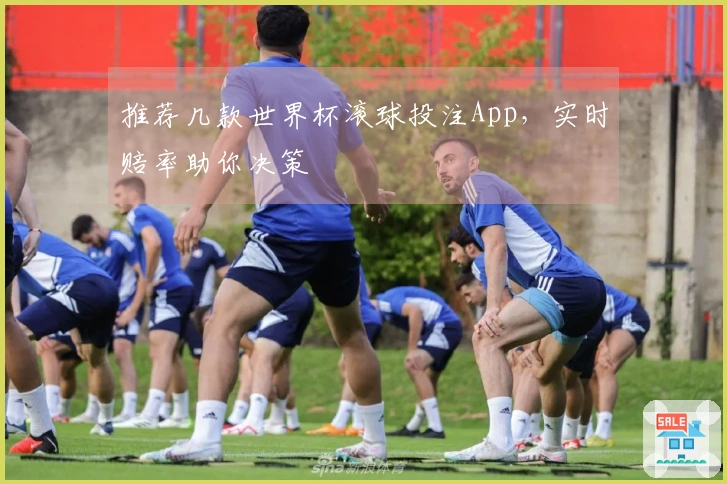 推荐几款世界杯滚球投注App，实时赔率助你决策